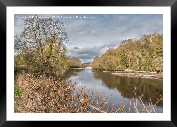 River Tees at Wycliffe, Teesdale, in Early Spring Framed Mounted Print by Richard Laidler