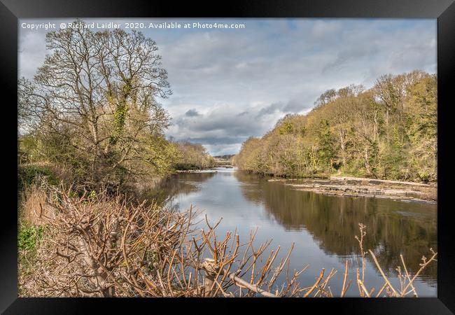 River Tees at Wycliffe, Teesdale, in Early Spring Framed Print by Richard Laidler