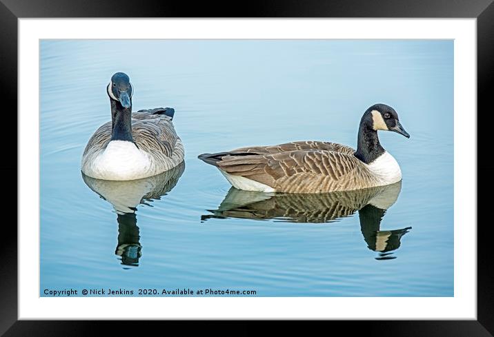 Two Canada Geese on Cosmeston Lake Framed Mounted Print by Nick Jenkins