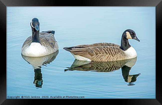 Two Canada Geese on Cosmeston Lake Framed Print by Nick Jenkins