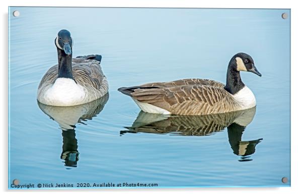 Two Canada Geese on Cosmeston Lake Acrylic by Nick Jenkins