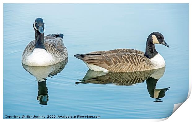 Two Canada Geese on Cosmeston Lake Print by Nick Jenkins