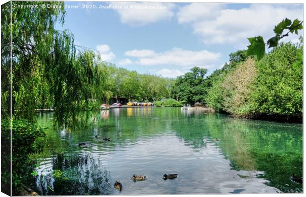 Finsbury Park Lake Canvas Print by Diana Mower