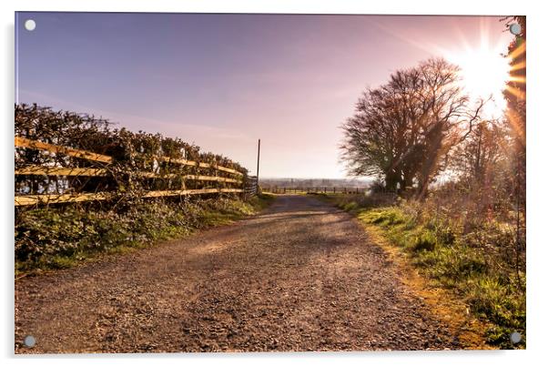 The Country Path Acrylic by Jonathan Thirkell