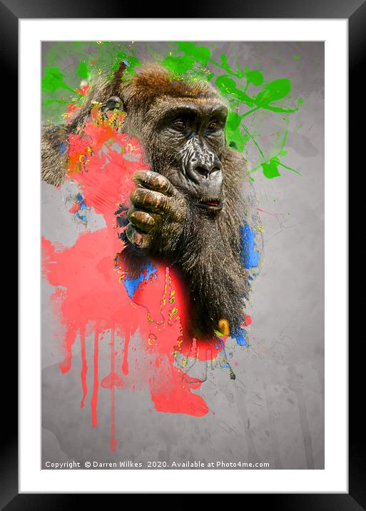 Lowland Gorilla Digital Art Framed Mounted Print by Darren Wilkes