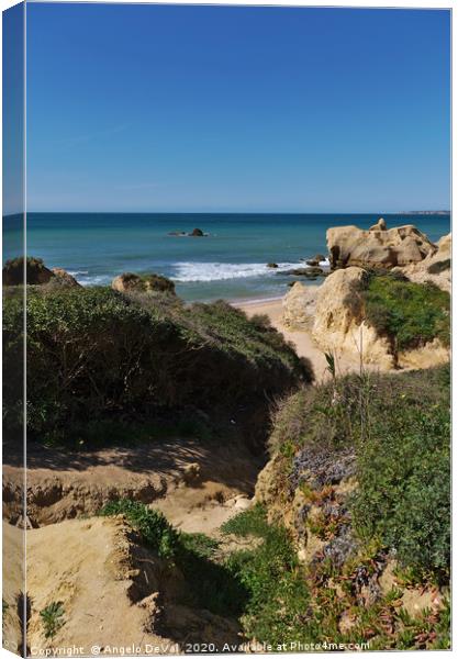 Cliffs, bushes and sea in Algarve Canvas Print by Angelo DeVal