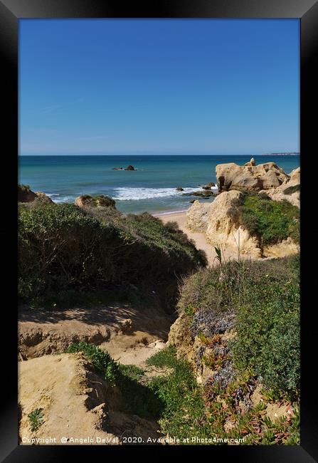 Cliffs, bushes and sea in Algarve Framed Print by Angelo DeVal