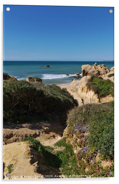 Cliffs, bushes and sea in Algarve Acrylic by Angelo DeVal