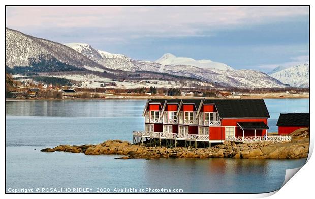 "Room with a view" Print by ROS RIDLEY