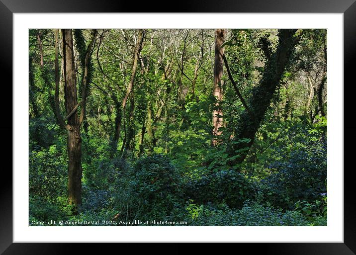 Wild Green in Sintra Framed Mounted Print by Angelo DeVal