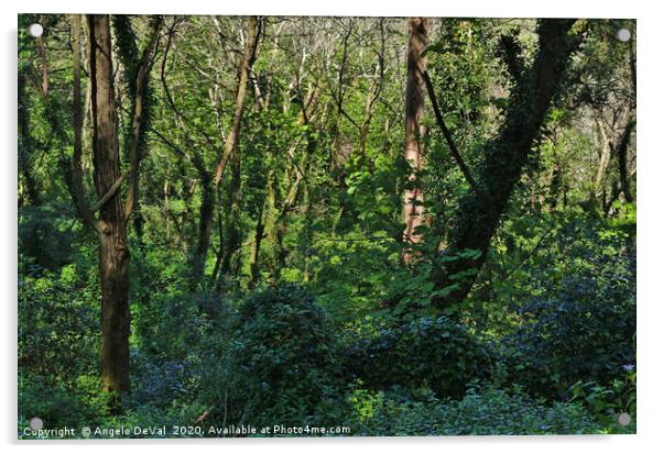 Wild Green in Sintra Acrylic by Angelo DeVal