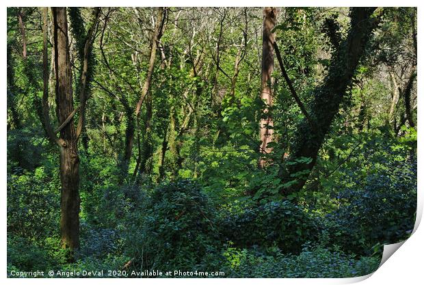 Wild Green in Sintra Print by Angelo DeVal