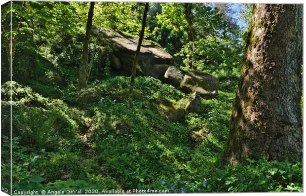 Wild Green in Sintra Mountains Canvas Print by Angelo DeVal