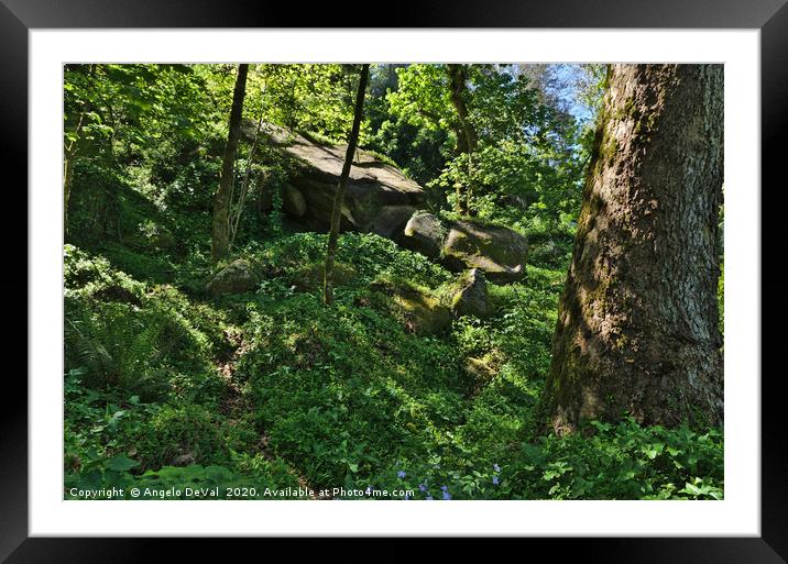 Wild Green in Sintra Mountains Framed Mounted Print by Angelo DeVal