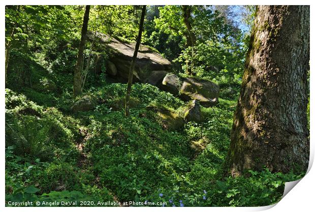 Wild Green in Sintra Mountains Print by Angelo DeVal