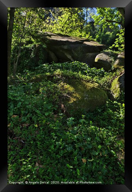 Wild Green in Sintra 2 Framed Print by Angelo DeVal