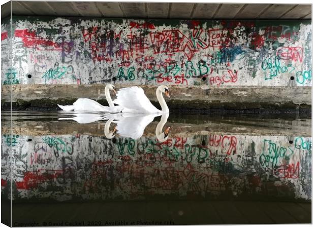 Swans under the graffiti bridge Canvas Print by David Cockell
