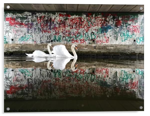 Swans under the graffiti bridge Acrylic by David Cockell