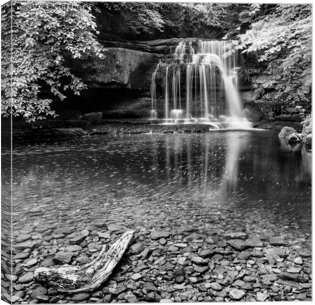 Cauldron Falls Canvas Print by Richard Burdon