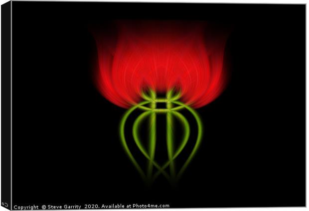 Twisted Rose Canvas Print by Steve Garrity