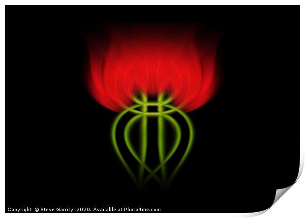 Twisted Rose Print by Steve Garrity