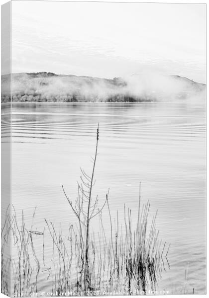 Lake Windermere reeds monochrome Canvas Print by Graham Moore
