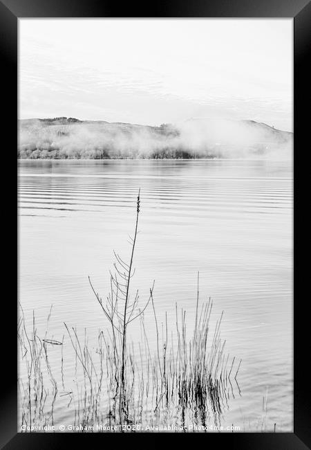 Lake Windermere reeds monochrome Framed Print by Graham Moore