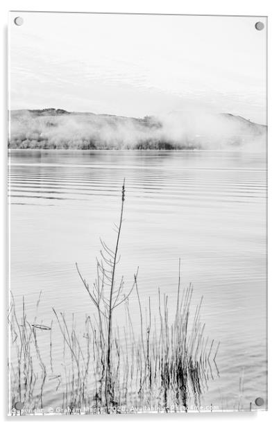 Lake Windermere reeds monochrome Acrylic by Graham Moore