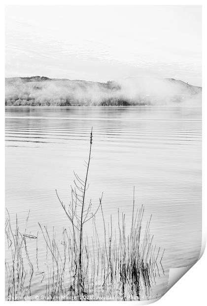 Lake Windermere reeds monochrome Print by Graham Moore