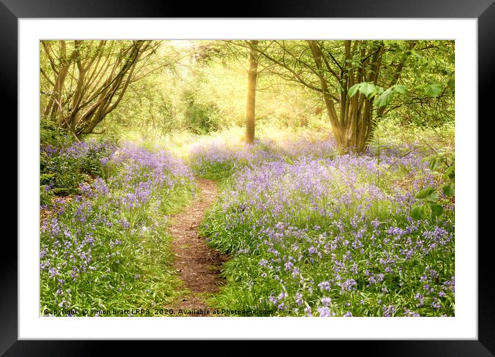 Path through bluebell forest at sunrise Framed Mounted Print by Simon Bratt LRPS