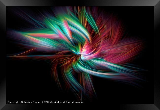 The Twirl Framed Print by Adrian Evans
