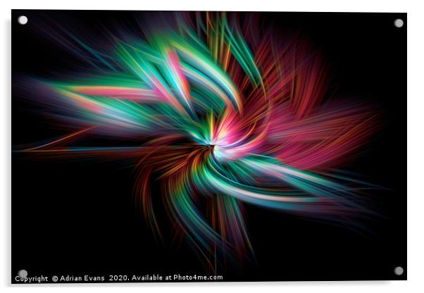 The Twirl Acrylic by Adrian Evans