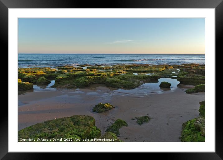 Low tide, sunset and rocks Framed Mounted Print by Angelo DeVal