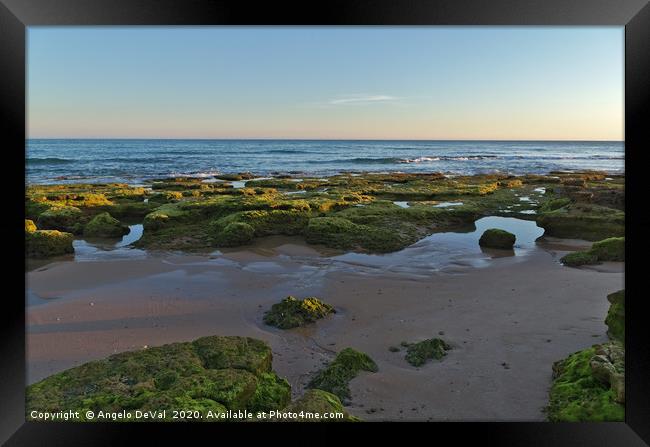 Low tide, sunset and rocks Framed Print by Angelo DeVal