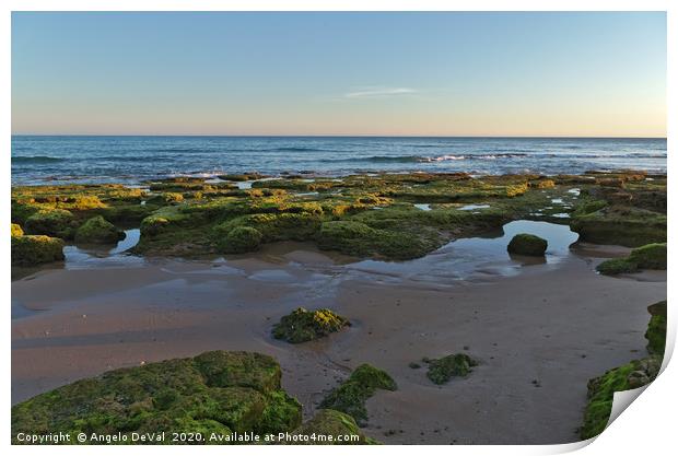 Low tide, sunset and rocks Print by Angelo DeVal
