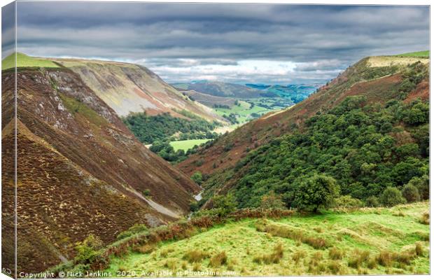 Dylife Gorge near Dylife in Powys Mid Wales Canvas Print by Nick Jenkins