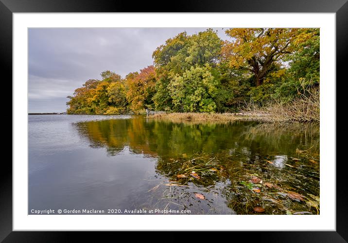Autumn on the River Severn Framed Mounted Print by Gordon Maclaren