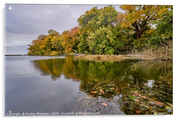 Autumn on the River Severn Acrylic by Gordon Maclaren