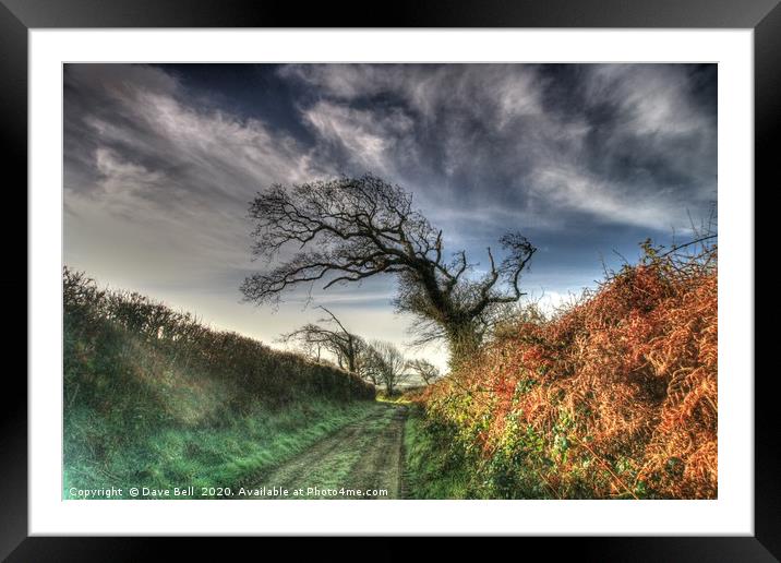 Frosty Country Lane Framed Mounted Print by Dave Bell