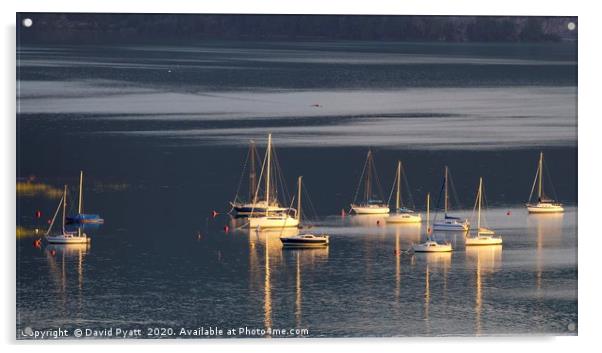 Lake Mondsee Boats Panorama Acrylic by David Pyatt