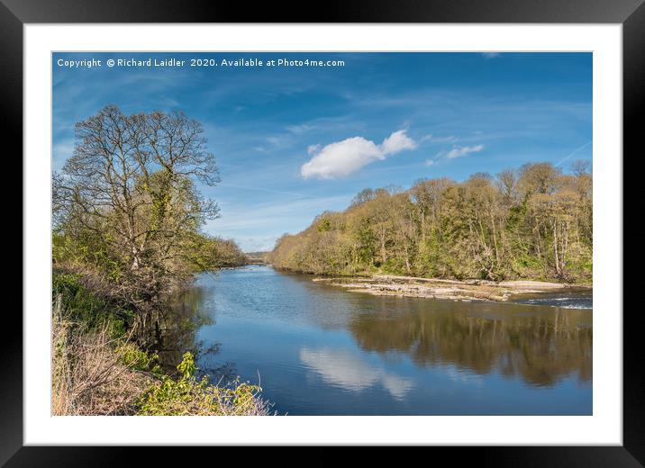 The River Tees at Wycliffe in April Sunshine Framed Mounted Print by Richard Laidler