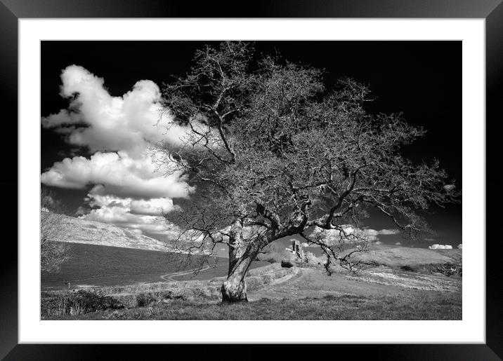 Corfe Castle,Dorset                       Framed Mounted Print by Darren Galpin