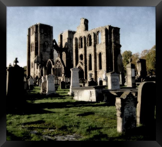 elgin cathedral Framed Print by dale rys (LP)