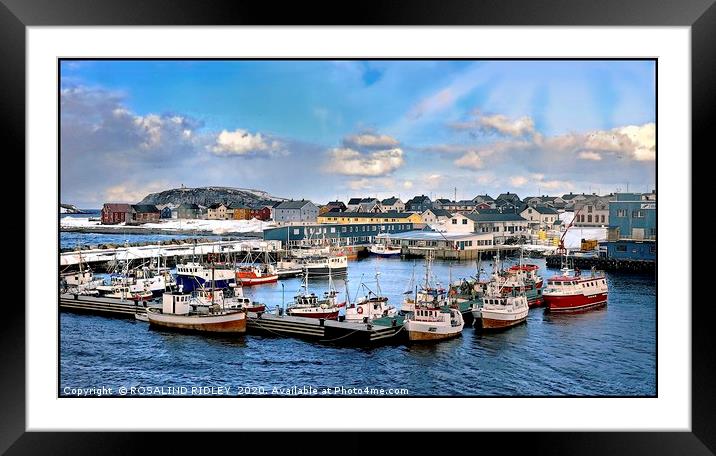 "THe harbour Vardo" Framed Mounted Print by ROS RIDLEY