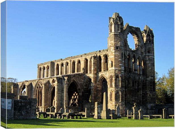 elgin cathedral  Canvas Print by dale rys (LP)