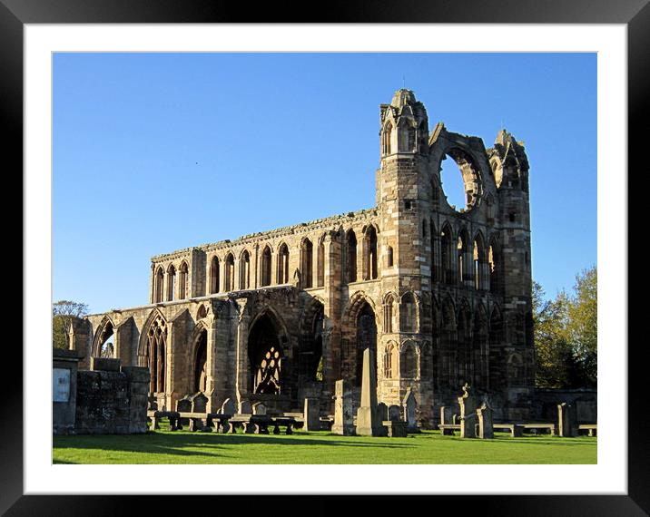 elgin cathedral  Framed Mounted Print by dale rys (LP)