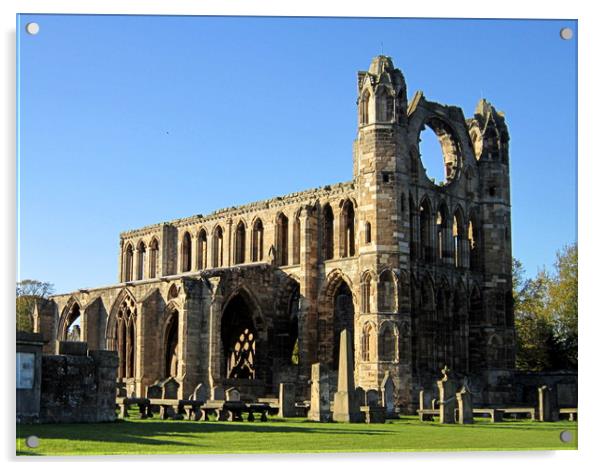 elgin cathedral  Acrylic by dale rys (LP)
