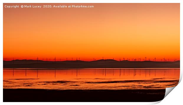 An Orange George Print by Mark Lucey