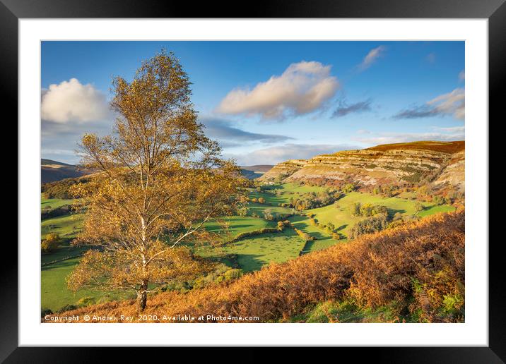 Autumn tree Castell Dinas Brân Framed Mounted Print by Andrew Ray