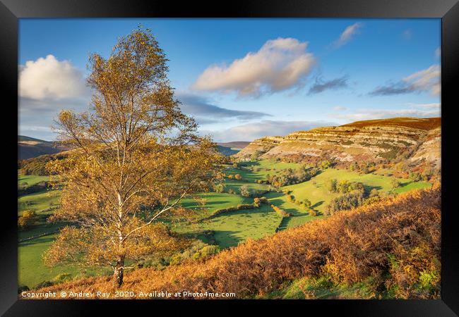 Autumn tree Castell Dinas Brân Framed Print by Andrew Ray